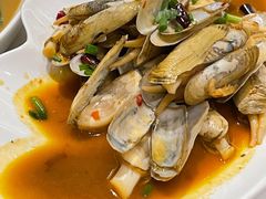 蛏子-华盛丰温州大排档(东三环南路店)