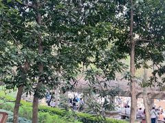 -音乐台
