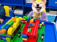 -玛酷机器人编程赛事中心(市北新都心店)