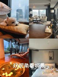 -茉莉智慧母婴护理中心(瑰丽店)