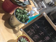 -白日梦奶茶
