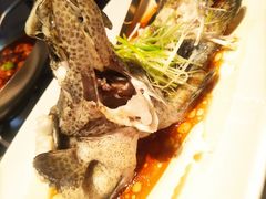 清蒸老虎斑-徐记海鲜(南油永新汇店)