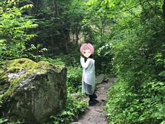 -秦岭风景区