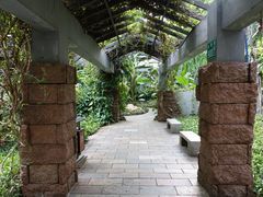 景点-广州珠江公园