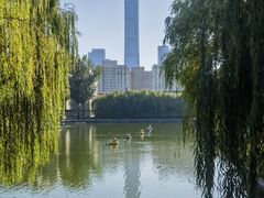 -团结湖公园