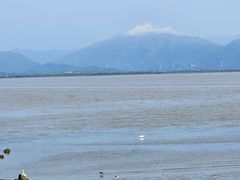 -深圳湾公园(南山区)