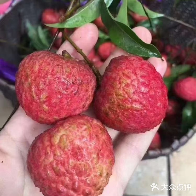 夏天必备甜品：荔枝果冻！