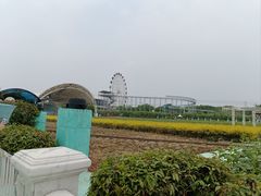 -百万葵园