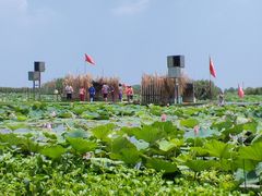 -洪湖生态旅游区