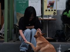 -大青树咖啡(大理古城店)