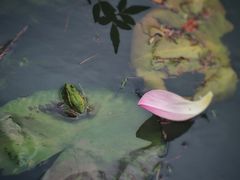 -郑和公园