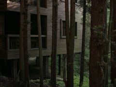 -武陵山森林公园