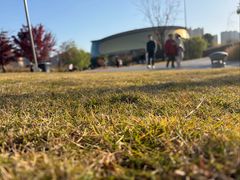 -杭州城北体育公园