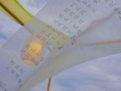 -天津东丽湖风景区