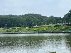 -东莞植物园