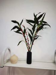-雅颜皮肤管理中心