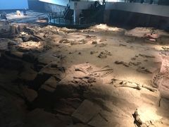 景点-自贡恐龙博物馆