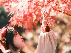 -杭州黄龙洞