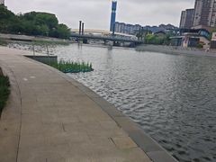 -映月湖中央公园