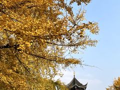-老鼎万春卤菜(五代传承创始老店)