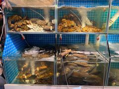 水产区-船奇蒸汽海鲜·闽菜(八市海鲜总店)