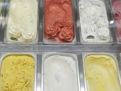 -iceason爱茜茜里·意大利健康冰淇淋(骑龙巷店)