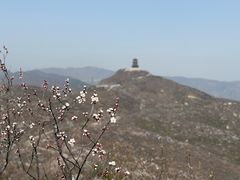 -定都阁