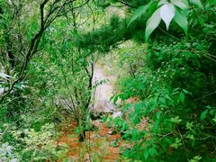-阳台山自然风景区