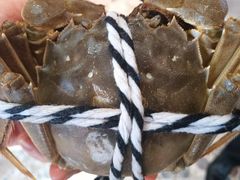 -如轩·海鲜砂锅粥·潮汕菜(小榄店)
