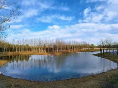 -东郊湿地公园