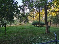 -森波拉火山温泉