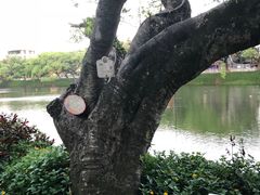 -潮州西湖