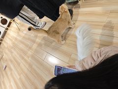 -听TA说宠咖·宠物生活馆(天韵水岸店)