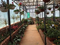 -云南民族大观园