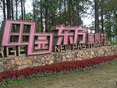 -田园东方蜜桃村的田野营地