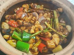 -天宝食坊·啫啫煲大排档(西华路店)