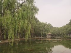 -阿尔丁植物园