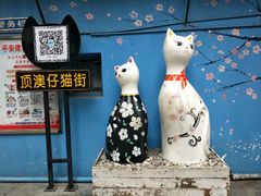 -猫咪博物馆(顶澳仔猫街店)