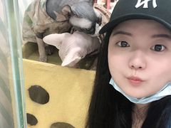 -糯米喵星人·撸猫猫舍咖啡馆(西市场嘉华店)