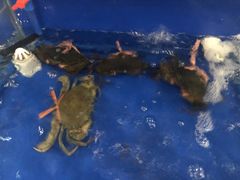 -姜君·千岛湖鱼头馆(浦东大道店)