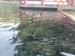 -百脉泉景区