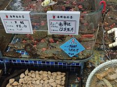 -天盛海鲜烧烤大排档·本地小海鲜·牟平腿穗子(幸福店)