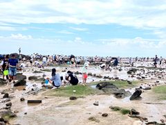 -巧克力渔家.小船海鲜胶东菜(万平口店)