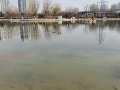 -太阳宫公园