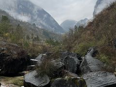 -鹿院坪生态旅游景区