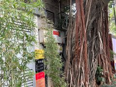 -荔湾湖公园