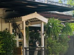 -TrueLove @ Neverland (Husky Cafe)