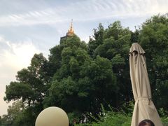 -听松楼·花园酒店·自助餐厅(红梅公园店)