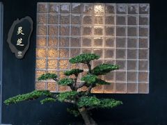 -椿杨樘·明康泡浴养生馆(重庆店)