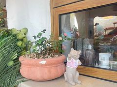 -Sirena海妖日咖夜酒